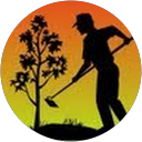 Nelson Fernandez profile picture